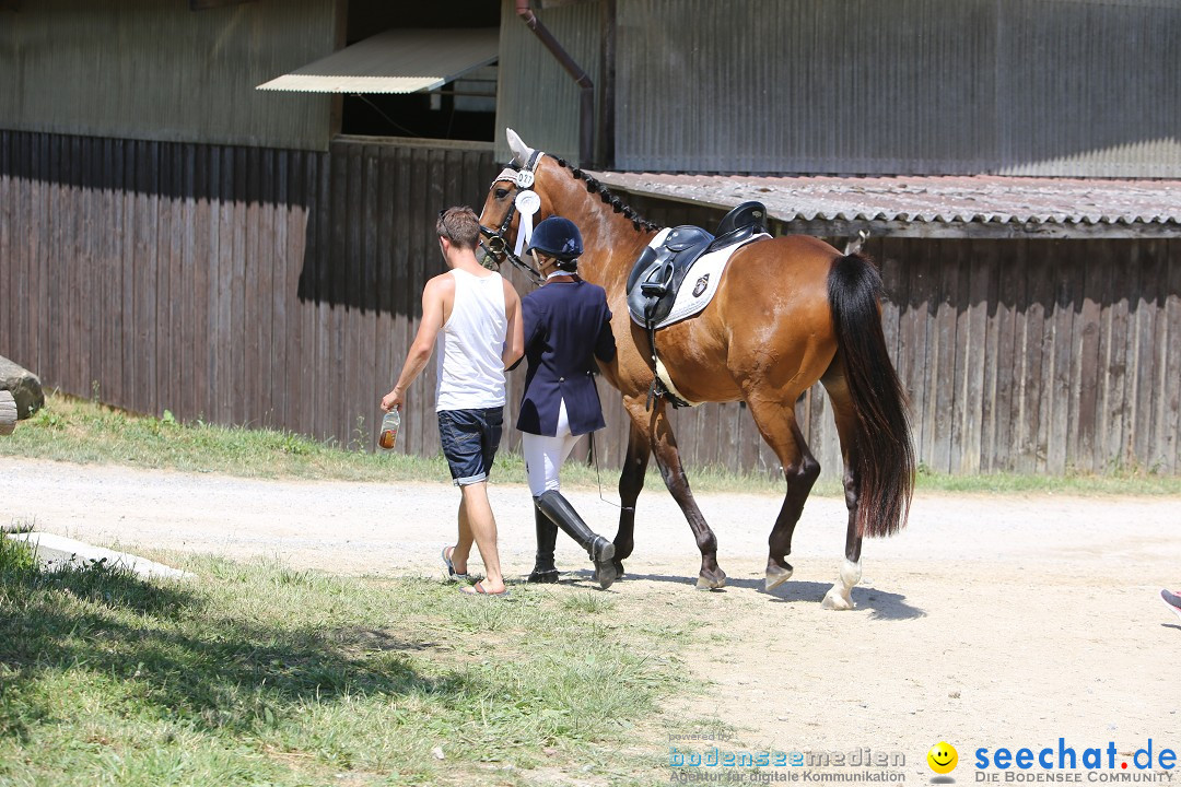 Reitturnier auf dem Ziegelhof in Dettingen-Wallhausen am Bodensee, 22.06.20