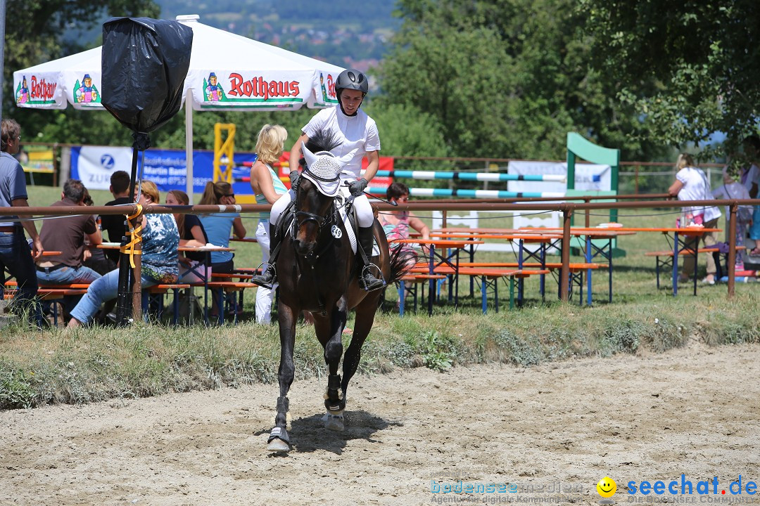 Reitturnier auf dem Ziegelhof in Dettingen-Wallhausen am Bodensee, 22.06.20