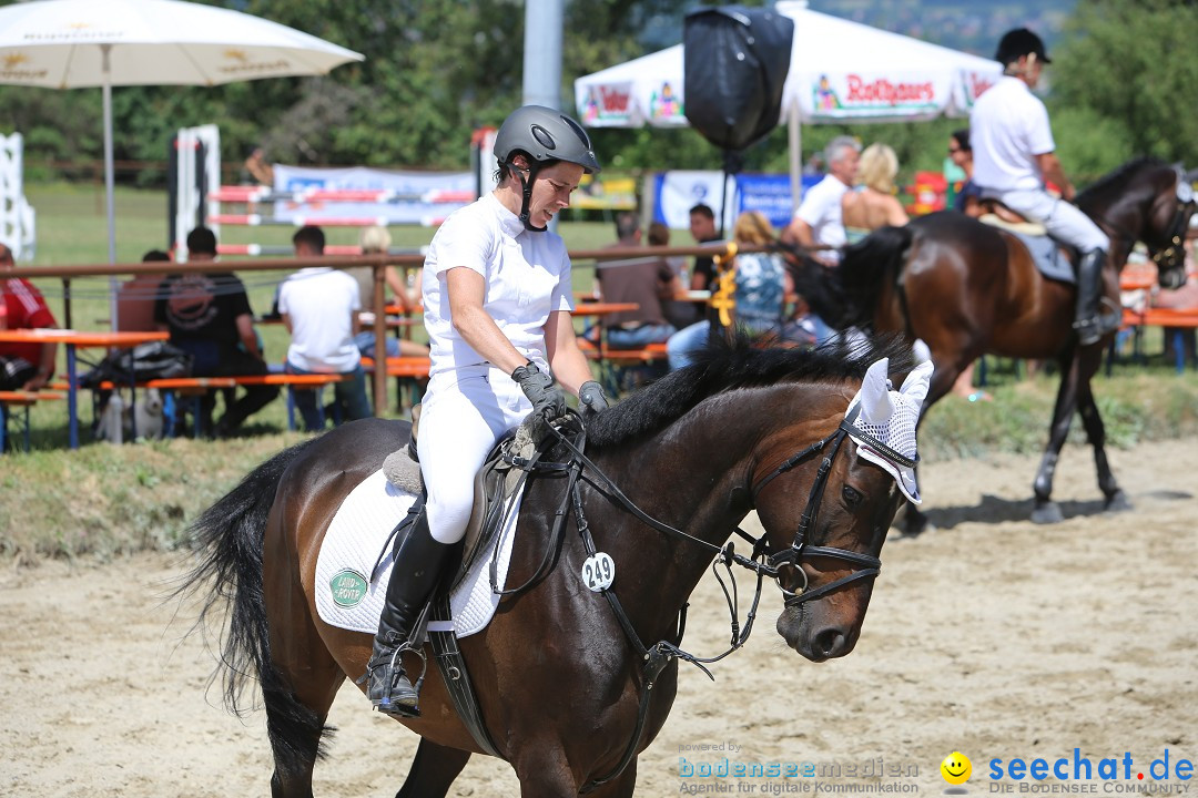 Reitturnier auf dem Ziegelhof in Dettingen-Wallhausen am Bodensee, 22.06.20