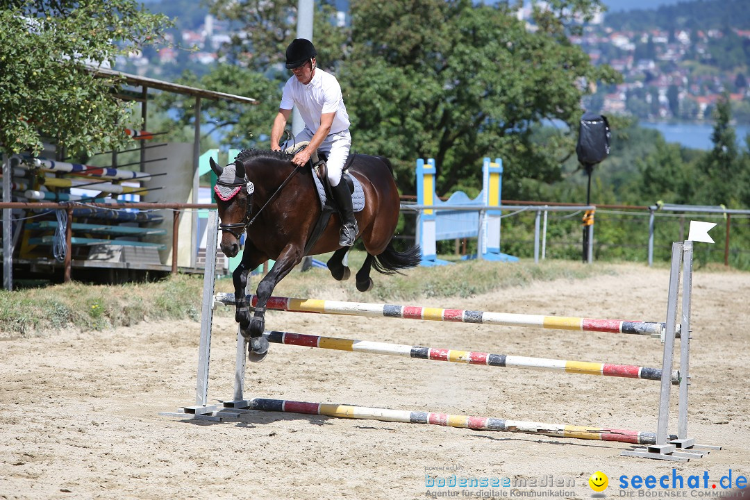 Reitturnier auf dem Ziegelhof in Dettingen-Wallhausen am Bodensee, 22.06.20