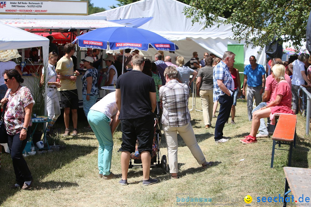 Reitturnier auf dem Ziegelhof in Dettingen-Wallhausen am Bodensee, 22.06.20