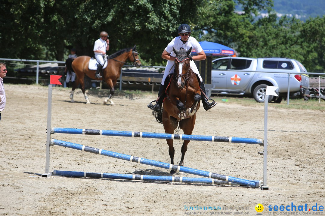 Reitturnier auf dem Ziegelhof in Dettingen-Wallhausen am Bodensee, 22.06.20