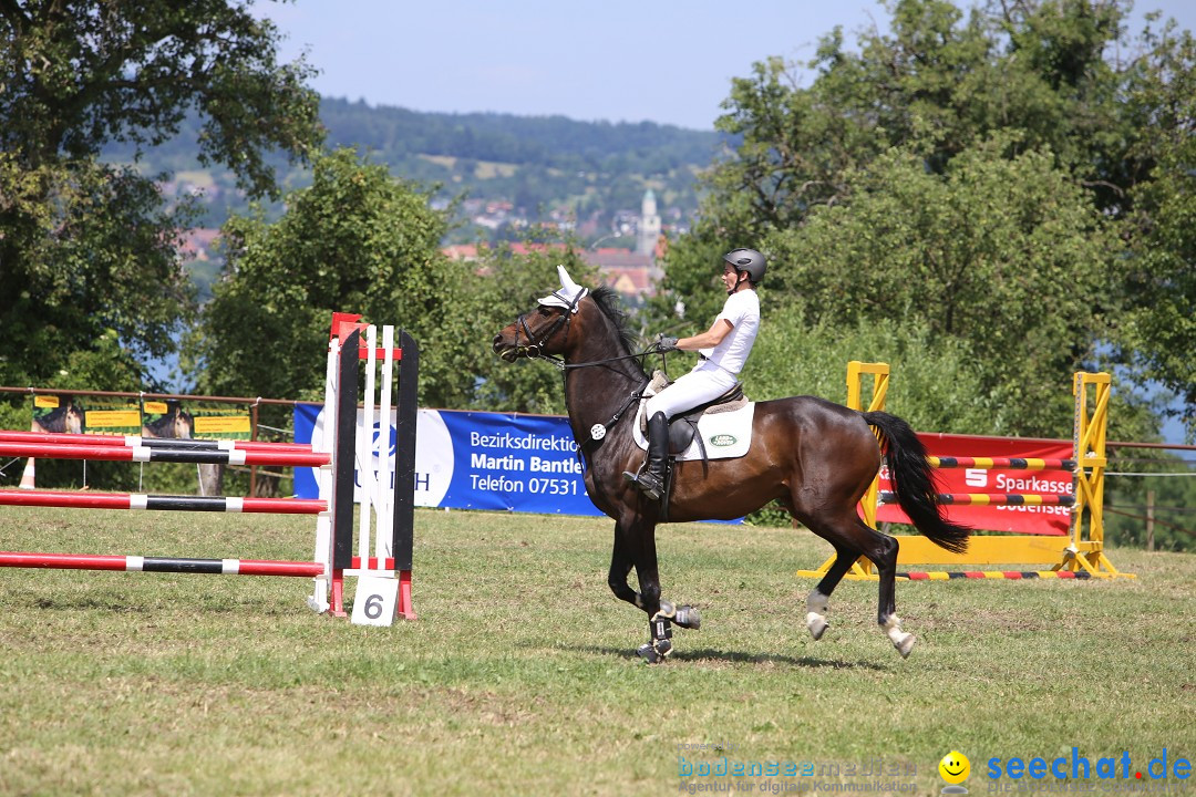 Reitturnier auf dem Ziegelhof in Dettingen-Wallhausen am Bodensee, 22.06.20