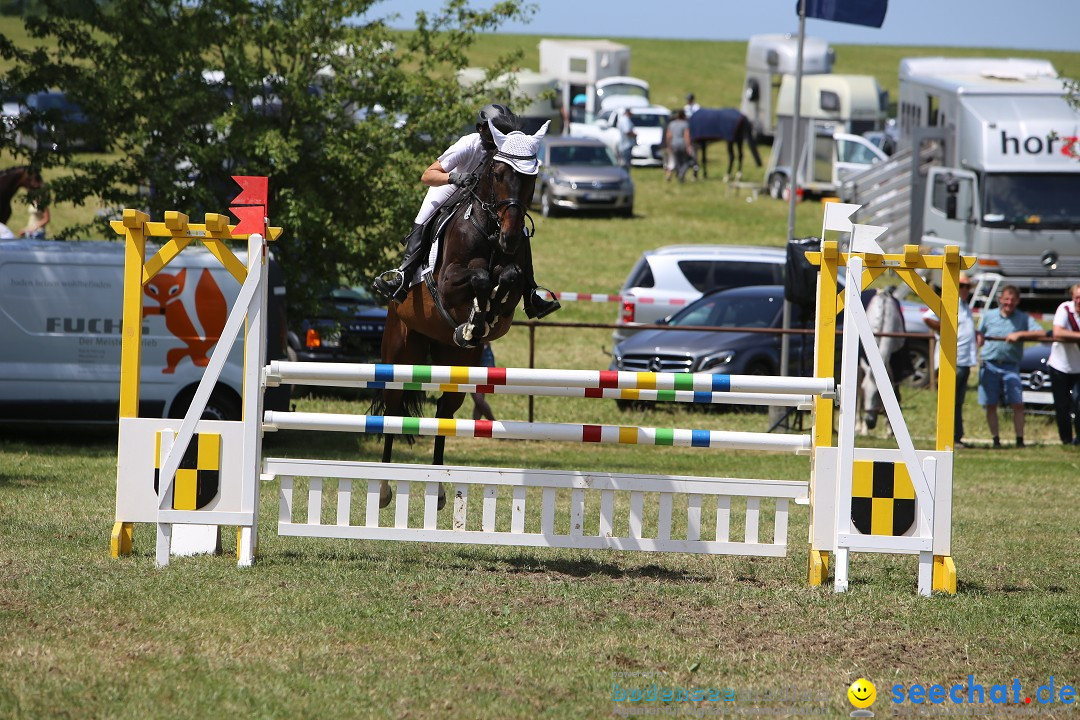 Reitturnier auf dem Ziegelhof in Dettingen-Wallhausen am Bodensee, 22.06.20