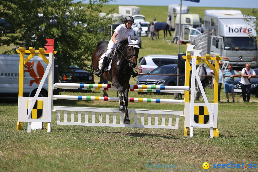 Reitturnier auf dem Ziegelhof in Dettingen-Wallhausen am Bodensee, 22.06.20