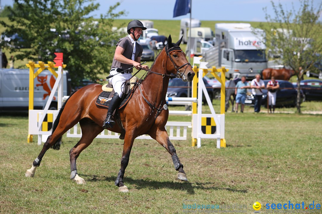 Reitturnier auf dem Ziegelhof in Dettingen-Wallhausen am Bodensee, 22.06.20