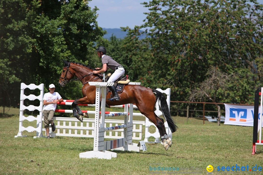 Reitturnier auf dem Ziegelhof in Dettingen-Wallhausen am Bodensee, 22.06.20