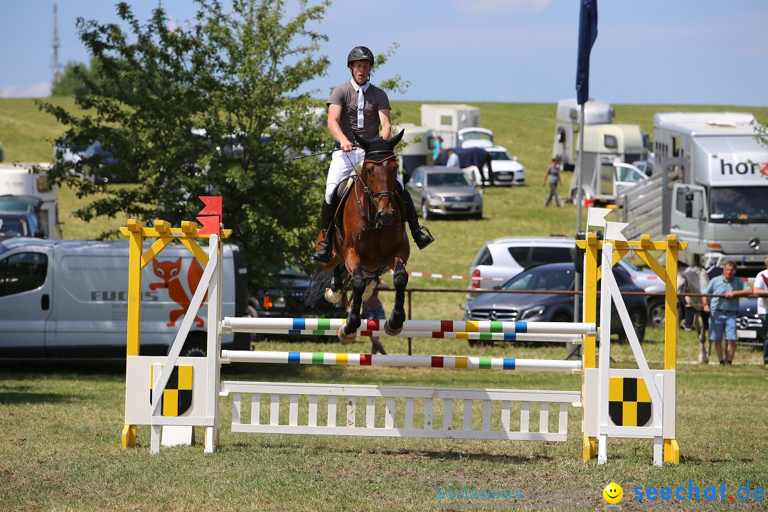 Reitturnier auf dem Ziegelhof in Dettingen-Wallhausen am Bodensee, 22.06.20