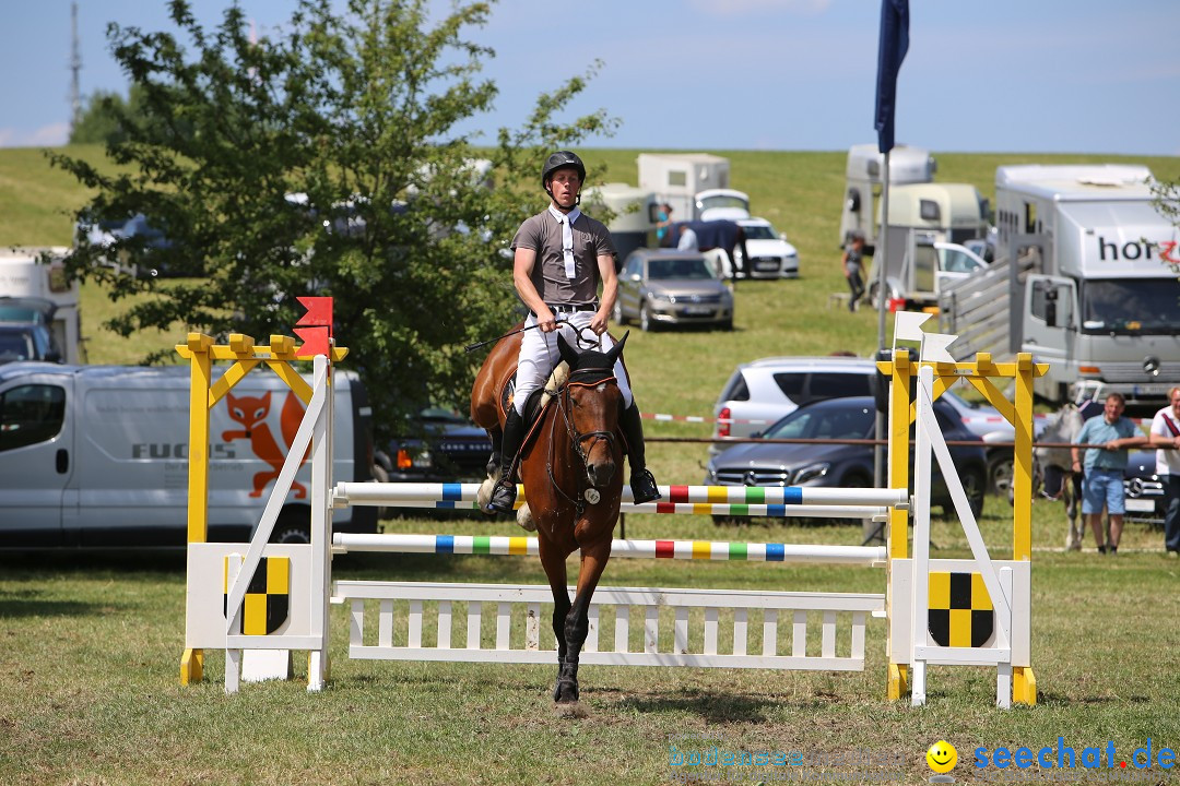 Reitturnier auf dem Ziegelhof in Dettingen-Wallhausen am Bodensee, 22.06.20