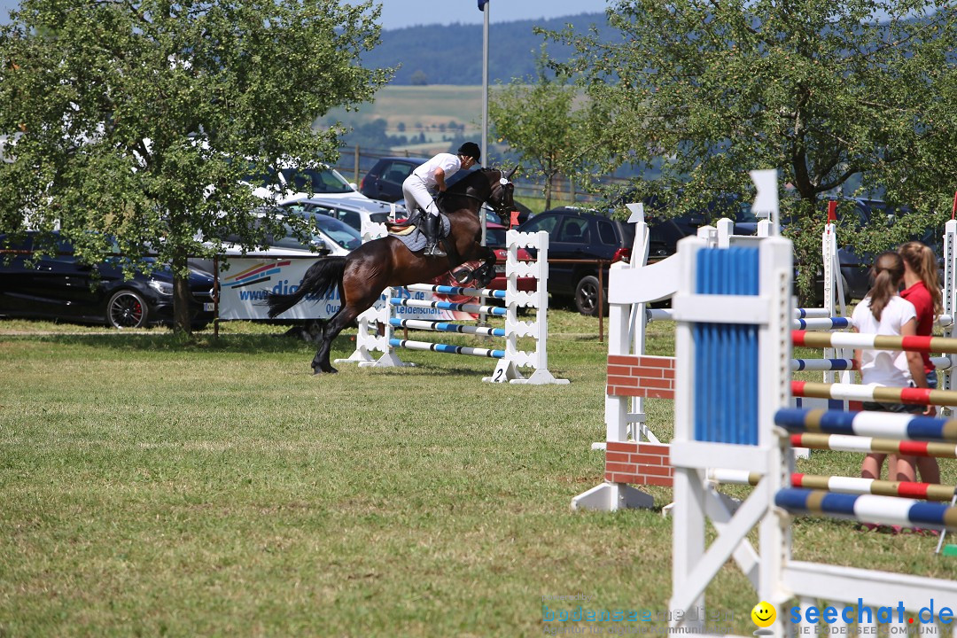 Reitturnier auf dem Ziegelhof in Dettingen-Wallhausen am Bodensee, 22.06.20