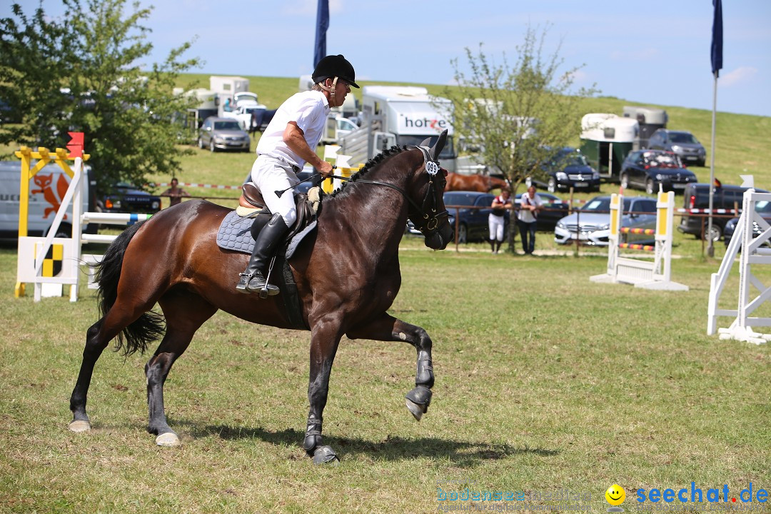 Reitturnier auf dem Ziegelhof in Dettingen-Wallhausen am Bodensee, 22.06.20