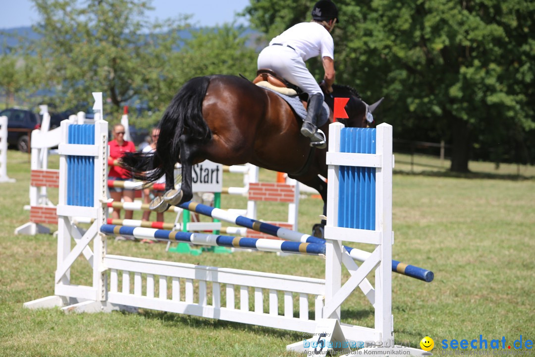 Reitturnier auf dem Ziegelhof in Dettingen-Wallhausen am Bodensee, 22.06.20