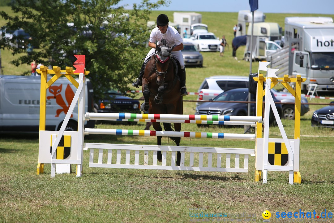 Reitturnier auf dem Ziegelhof in Dettingen-Wallhausen am Bodensee, 22.06.20