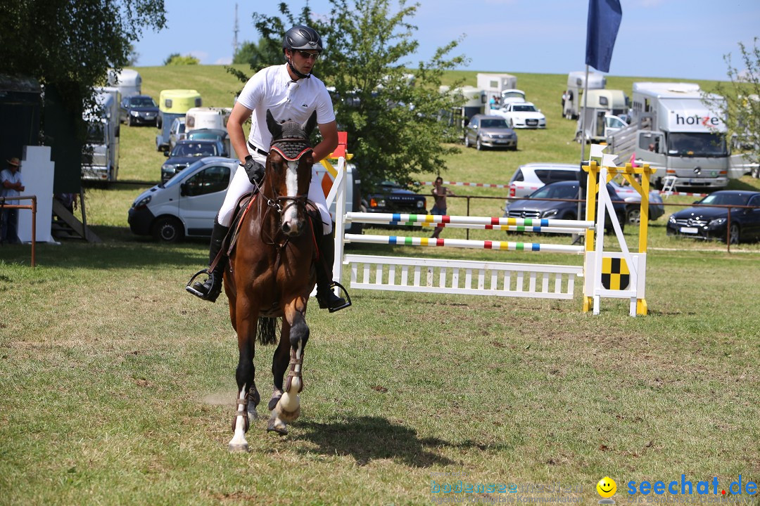 Reitturnier auf dem Ziegelhof in Dettingen-Wallhausen am Bodensee, 22.06.20