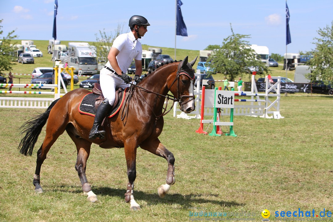 Reitturnier auf dem Ziegelhof in Dettingen-Wallhausen am Bodensee, 22.06.20