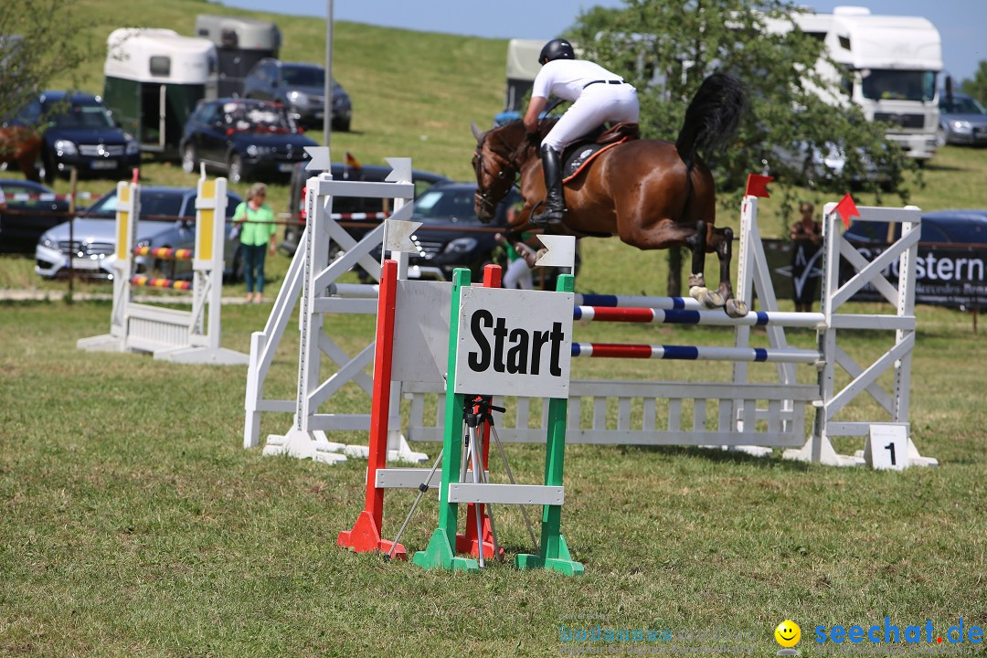 Reitturnier auf dem Ziegelhof in Dettingen-Wallhausen am Bodensee, 22.06.20