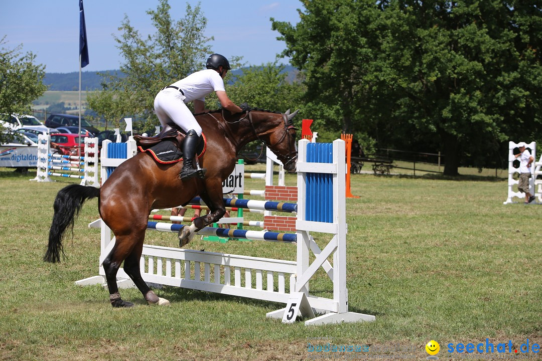 Reitturnier auf dem Ziegelhof in Dettingen-Wallhausen am Bodensee, 22.06.20