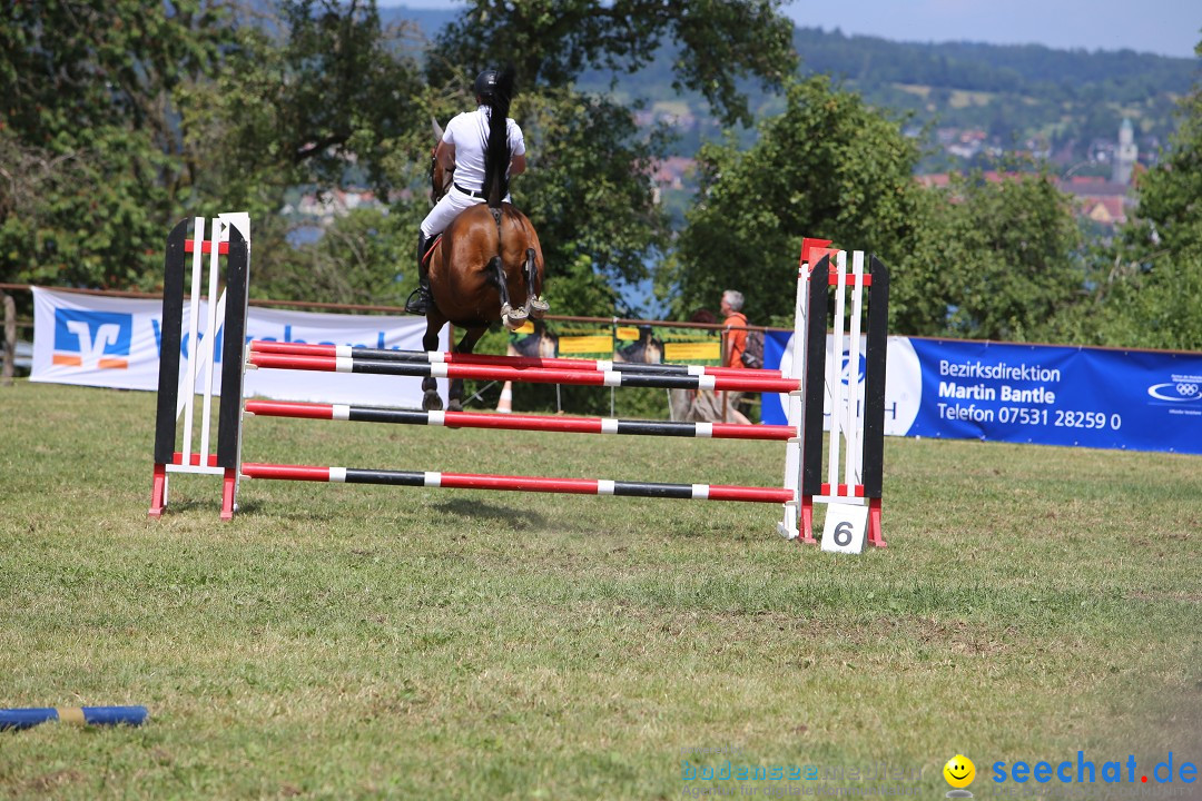 Reitturnier auf dem Ziegelhof in Dettingen-Wallhausen am Bodensee, 22.06.20