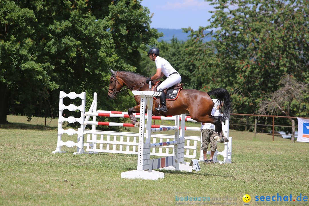 Reitturnier auf dem Ziegelhof in Dettingen-Wallhausen am Bodensee, 22.06.20