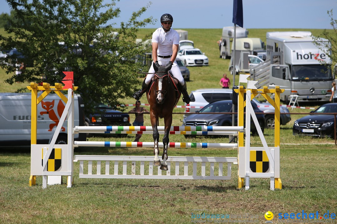 Reitturnier auf dem Ziegelhof in Dettingen-Wallhausen am Bodensee, 22.06.20