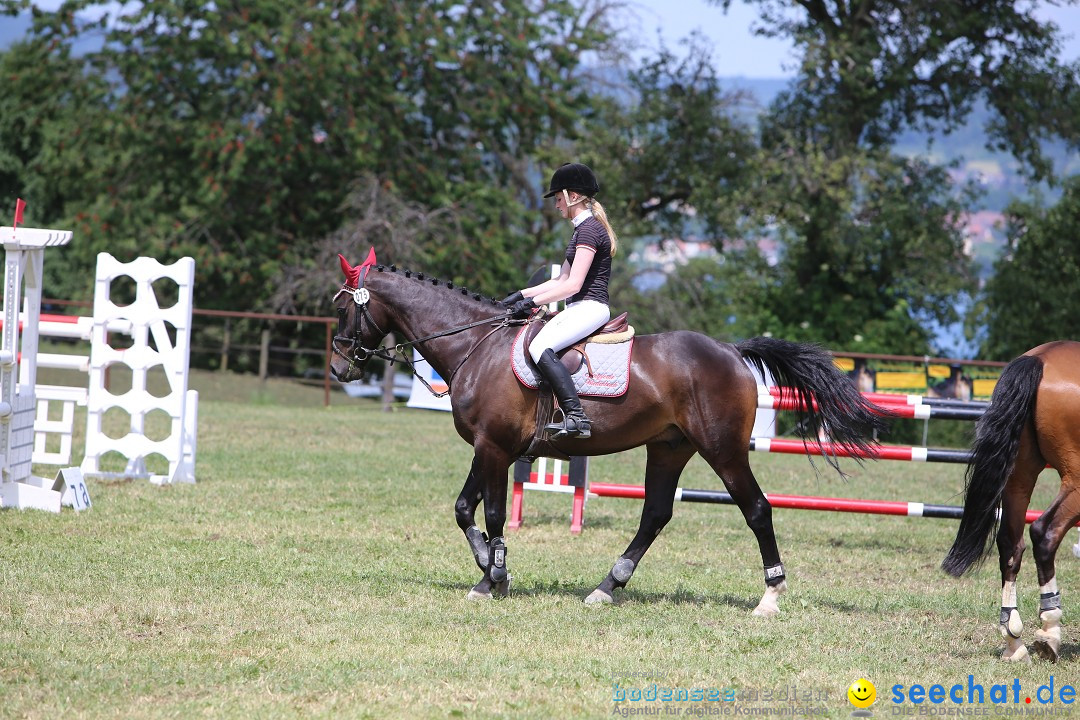 Reitturnier auf dem Ziegelhof in Dettingen-Wallhausen am Bodensee, 22.06.20