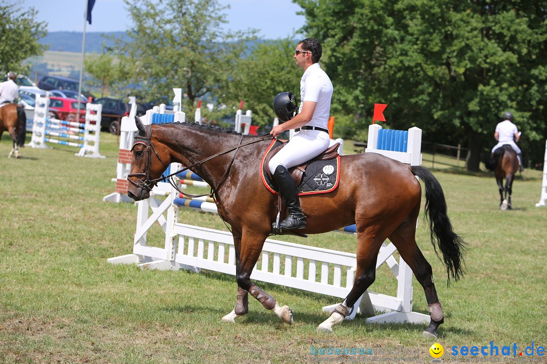 Reitturnier auf dem Ziegelhof in Dettingen-Wallhausen am Bodensee, 22.06.20