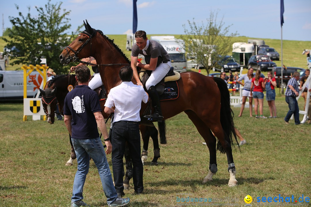 Reitturnier auf dem Ziegelhof in Dettingen-Wallhausen am Bodensee, 22.06.20