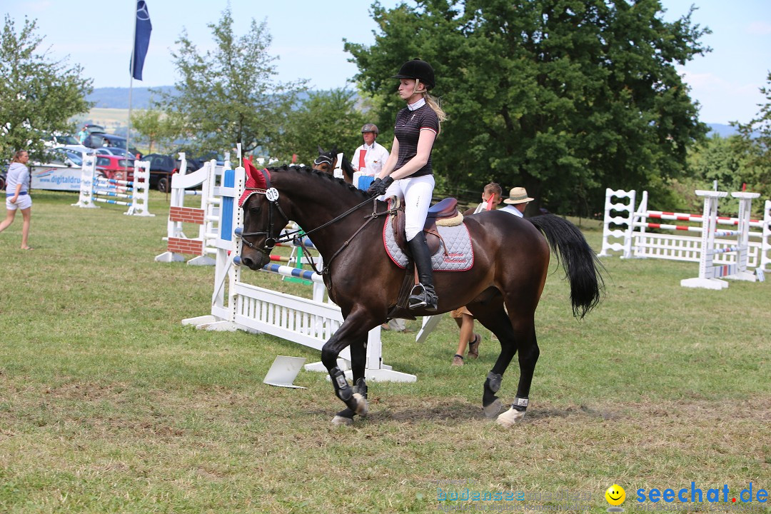 Reitturnier auf dem Ziegelhof in Dettingen-Wallhausen am Bodensee, 22.06.20