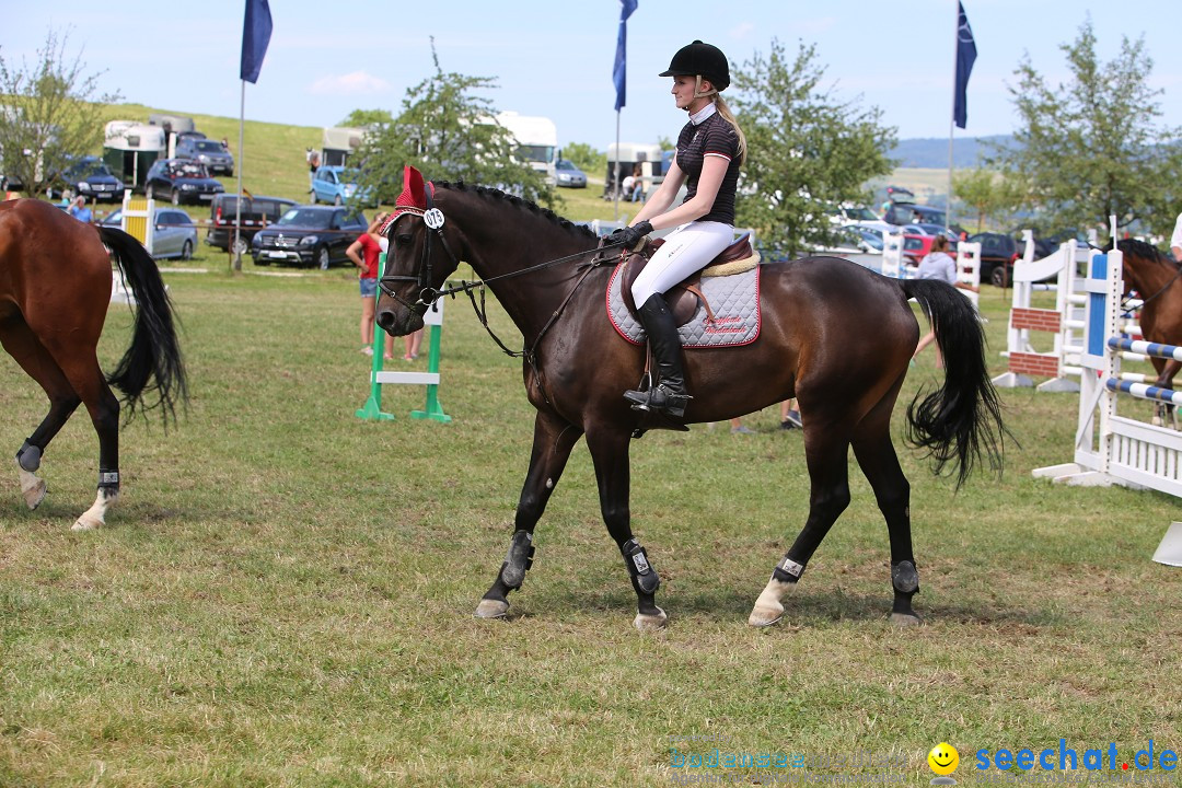 Reitturnier auf dem Ziegelhof in Dettingen-Wallhausen am Bodensee, 22.06.20