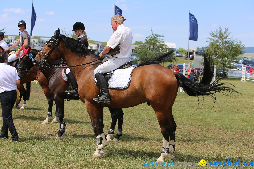 Reitturnier auf dem Ziegelhof in Dettingen-Wallhausen am Bodensee, 22.06.20