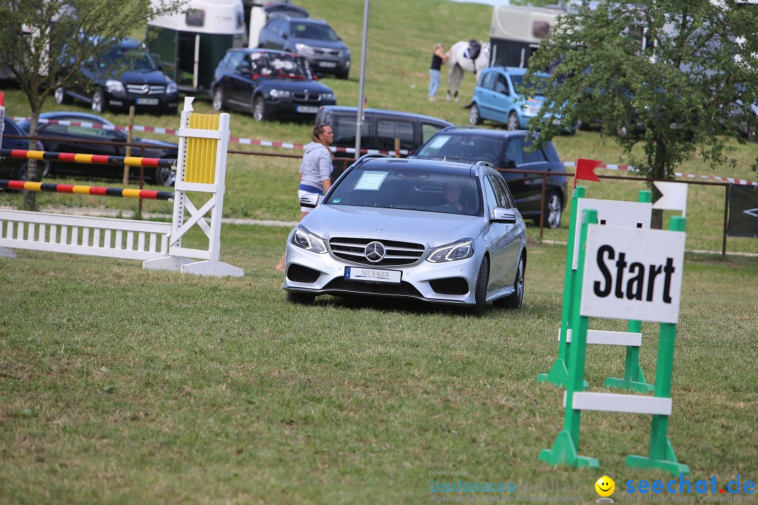 Reitturnier auf dem Ziegelhof in Dettingen-Wallhausen am Bodensee, 22.06.20