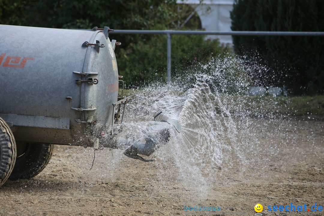 Reitturnier auf dem Ziegelhof in Dettingen-Wallhausen am Bodensee, 22.06.20