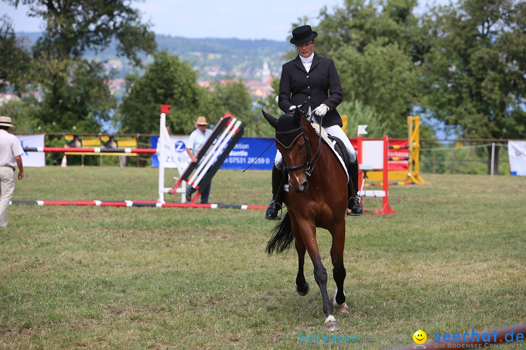 Reitturnier auf dem Ziegelhof in Dettingen-Wallhausen am Bodensee, 22.06.20