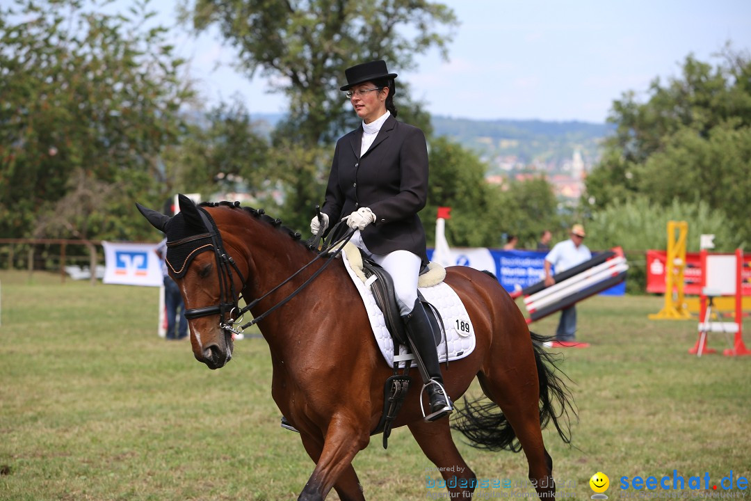 Reitturnier auf dem Ziegelhof in Dettingen-Wallhausen am Bodensee, 22.06.20