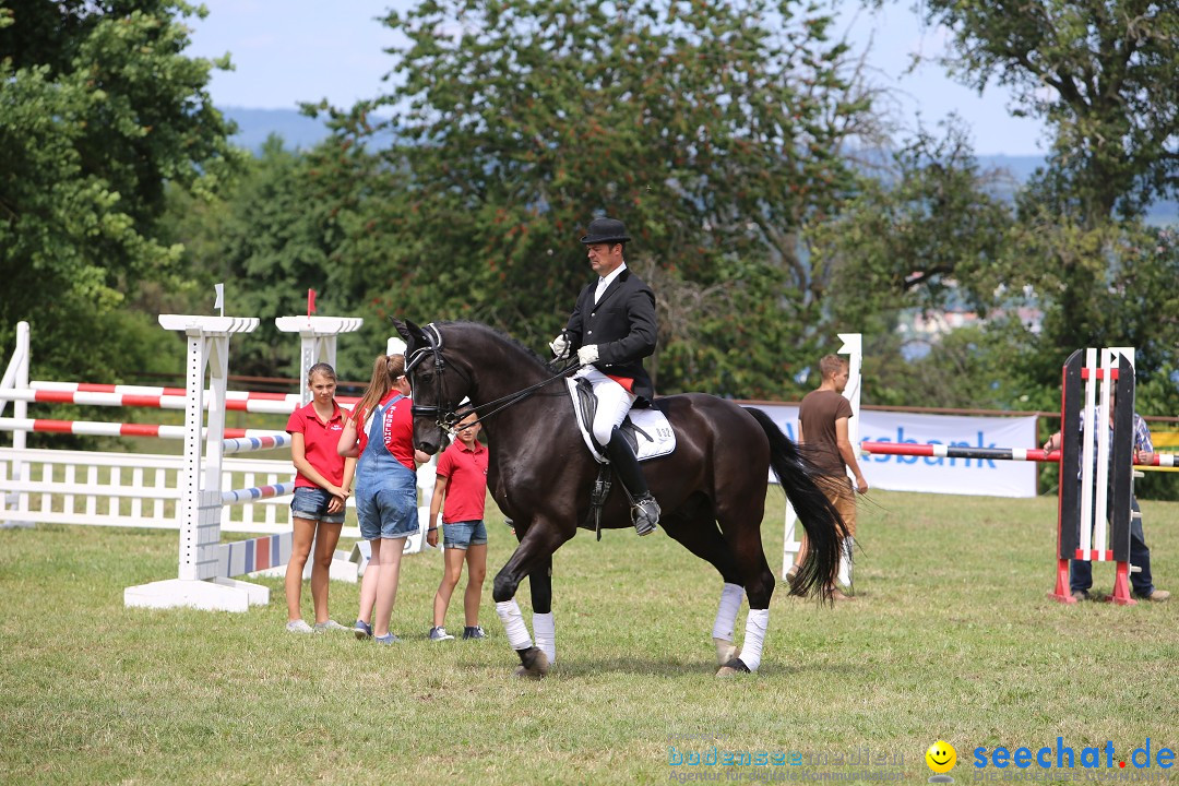 Reitturnier auf dem Ziegelhof in Dettingen-Wallhausen am Bodensee, 22.06.20