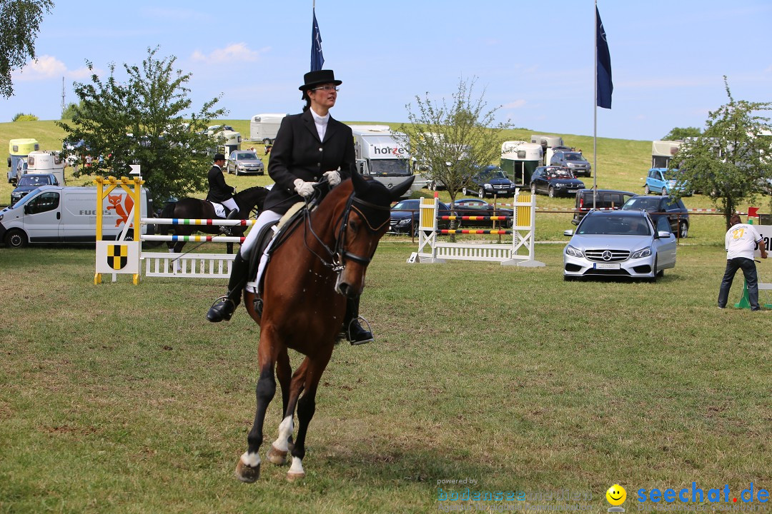 Reitturnier auf dem Ziegelhof in Dettingen-Wallhausen am Bodensee, 22.06.20