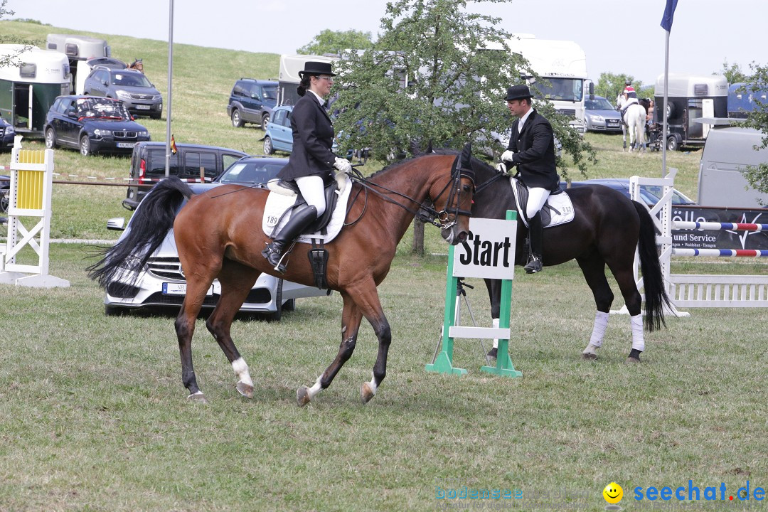 Reitturnier auf dem Ziegelhof in Dettingen-Wallhausen am Bodensee, 22.06.20