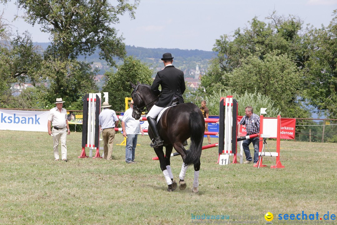 Reitturnier auf dem Ziegelhof in Dettingen-Wallhausen am Bodensee, 22.06.20