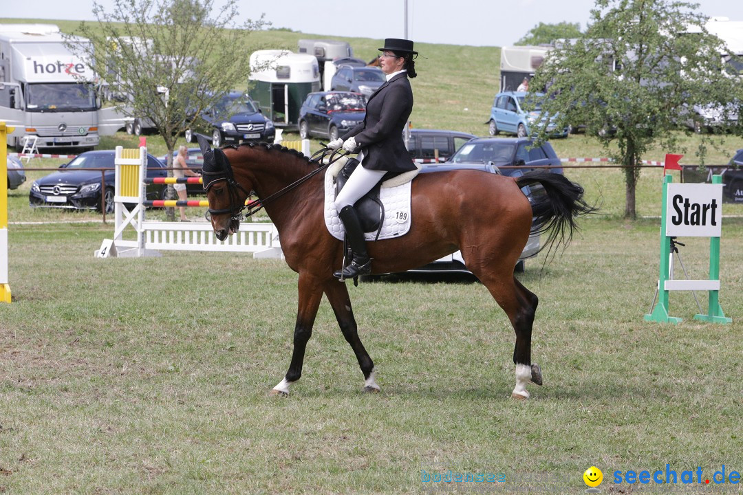 Reitturnier auf dem Ziegelhof in Dettingen-Wallhausen am Bodensee, 22.06.20