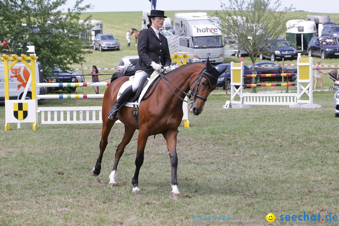 Reitturnier auf dem Ziegelhof in Dettingen-Wallhausen am Bodensee, 22.06.20