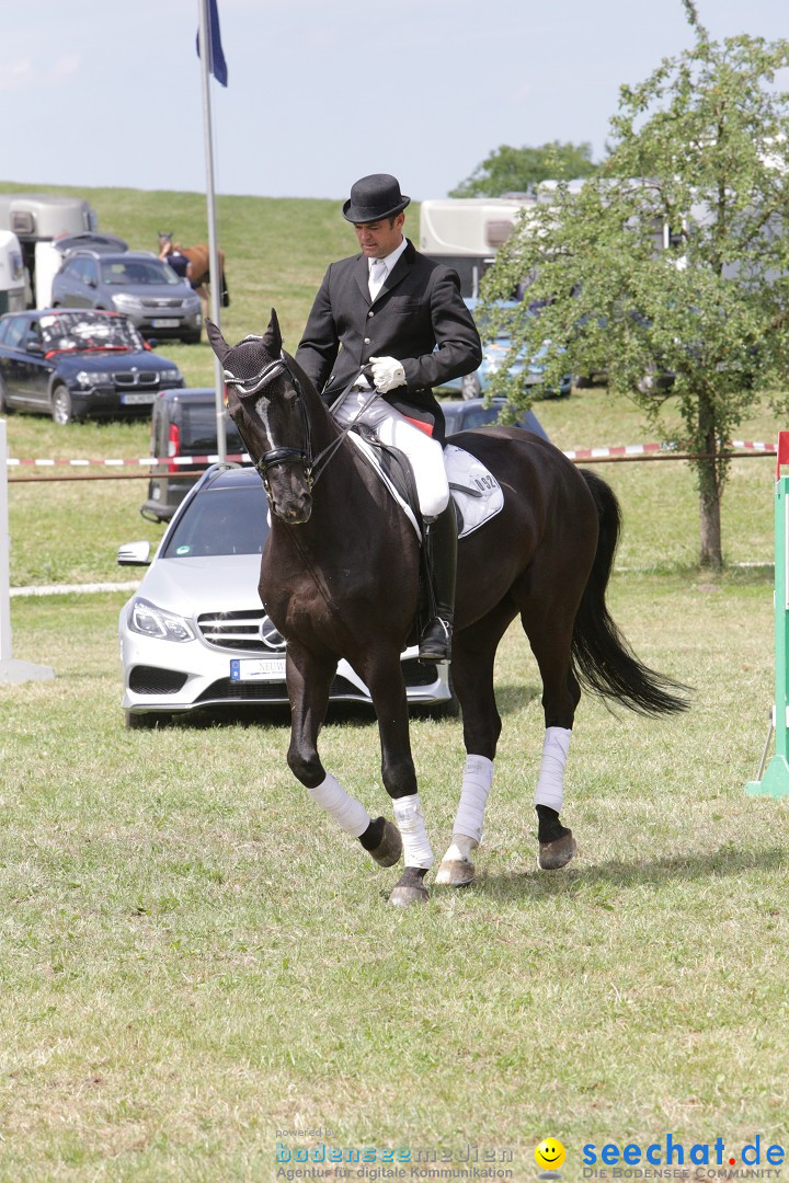 Reitturnier auf dem Ziegelhof in Dettingen-Wallhausen am Bodensee, 22.06.20