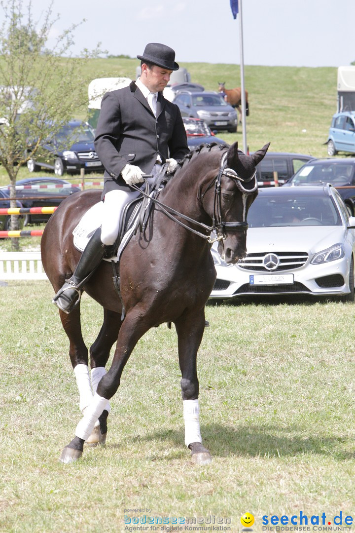 Reitturnier auf dem Ziegelhof in Dettingen-Wallhausen am Bodensee, 22.06.20