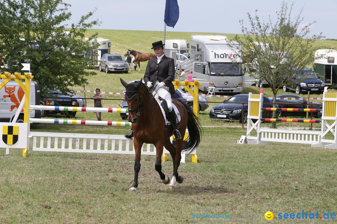 Reitturnier auf dem Ziegelhof in Dettingen-Wallhausen am Bodensee, 22.06.20