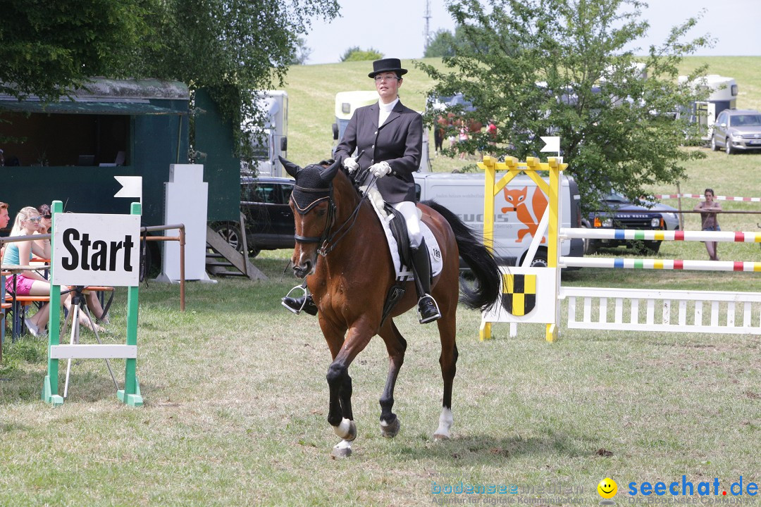 Reitturnier auf dem Ziegelhof in Dettingen-Wallhausen am Bodensee, 22.06.20