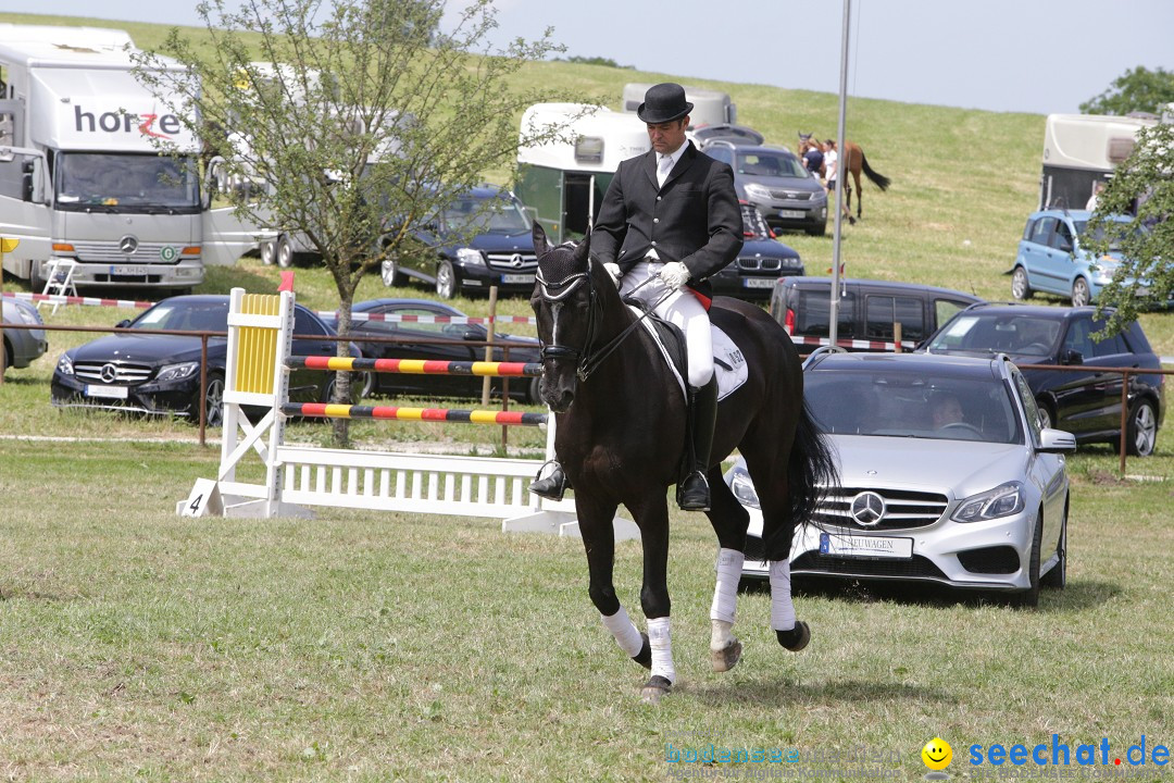 Reitturnier auf dem Ziegelhof in Dettingen-Wallhausen am Bodensee, 22.06.20