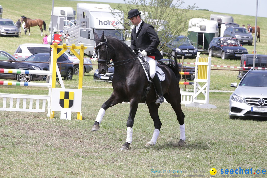 Reitturnier auf dem Ziegelhof in Dettingen-Wallhausen am Bodensee, 22.06.20