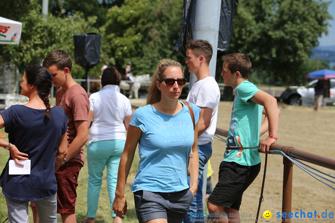 Reitturnier auf dem Ziegelhof in Dettingen-Wallhausen am Bodensee, 22.06.20