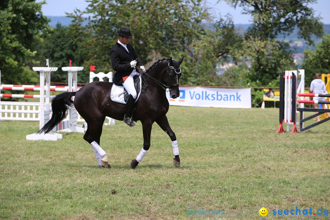 Reitturnier auf dem Ziegelhof in Dettingen-Wallhausen am Bodensee, 22.06.20