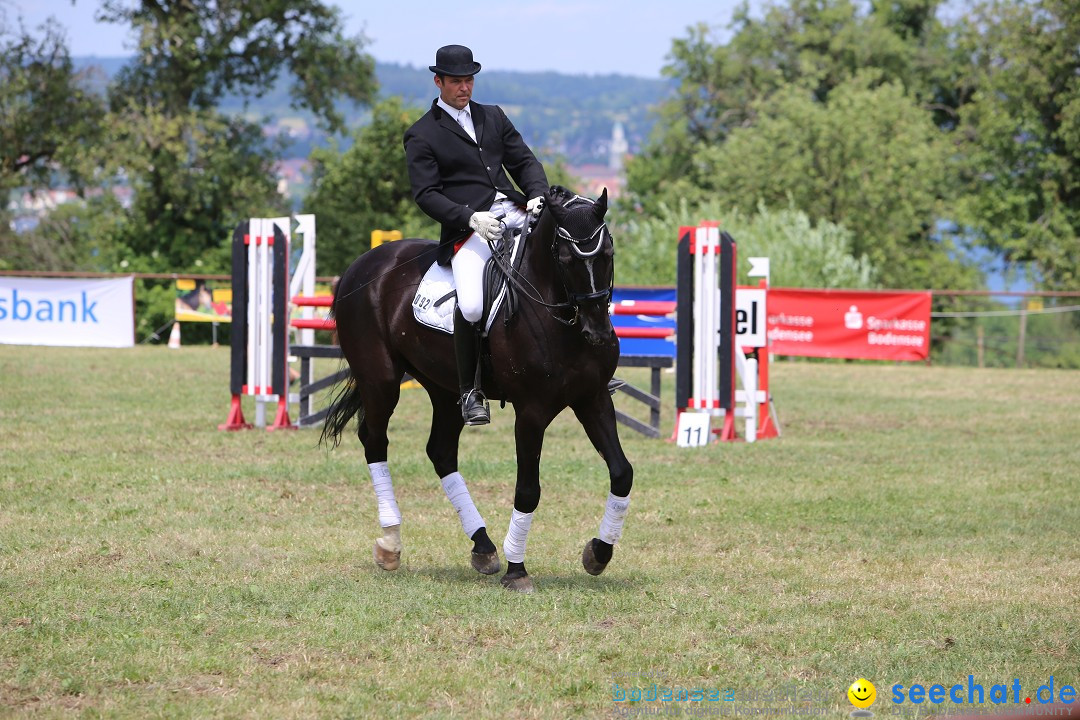 Reitturnier auf dem Ziegelhof in Dettingen-Wallhausen am Bodensee, 22.06.20