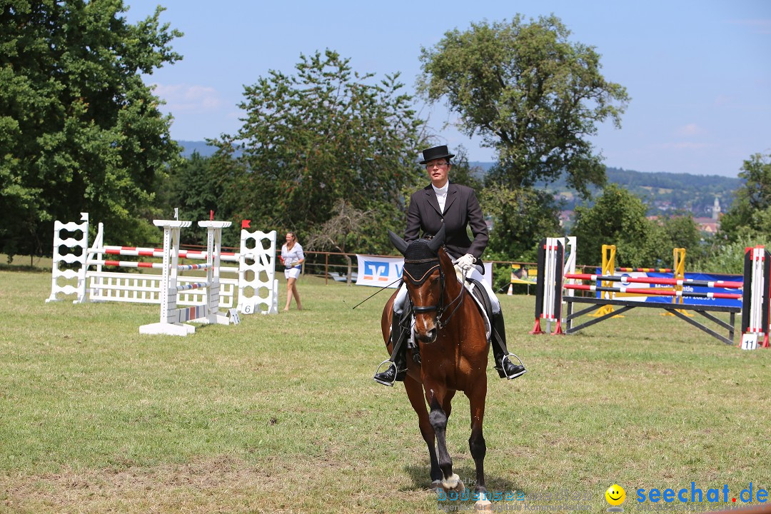 Reitturnier auf dem Ziegelhof in Dettingen-Wallhausen am Bodensee, 22.06.20